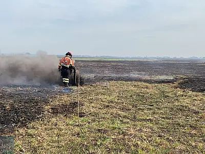 Bombeiros atuam conta 12 incêndios identificados no Pantanal
