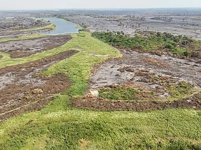 Proprietários rurais do Pantanal afetados pelos incêndios devem ter condições especiais no FCO