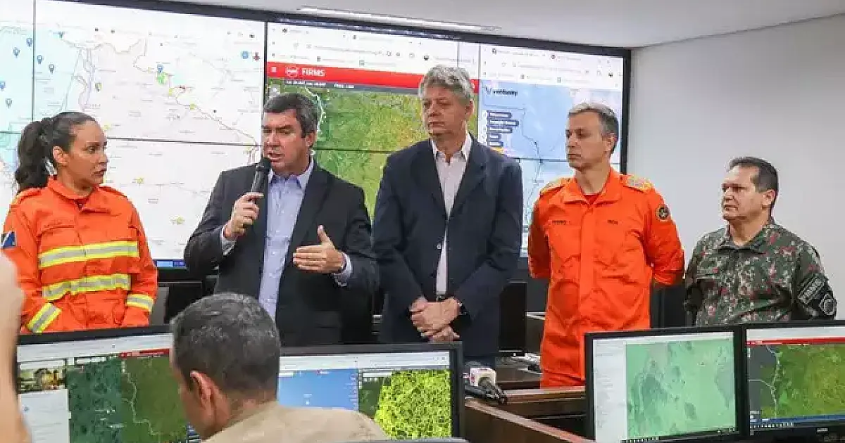 Nova plataforma traz mais transparência ao trabalho contra incêndios no Pantanal