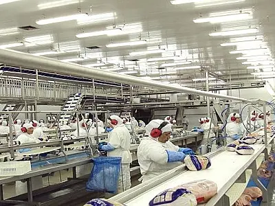 Biossegurança e vacinação contribuíram para o setor industrial de MS não fechar na pandemia