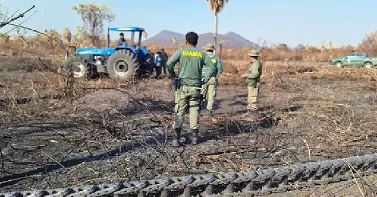 Ibama aplica R$ 2 milhões em multas por incêndios no Pantanal