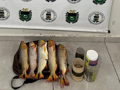 Homem é multado em R$ 4.842 pela pesca ilegal de Dourados no rio Paraguai