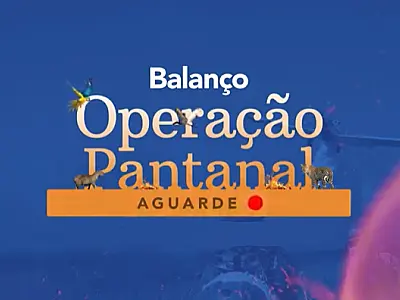 Governo de MS lança plataforma de dados sobre incêndios florestais no Pantanal