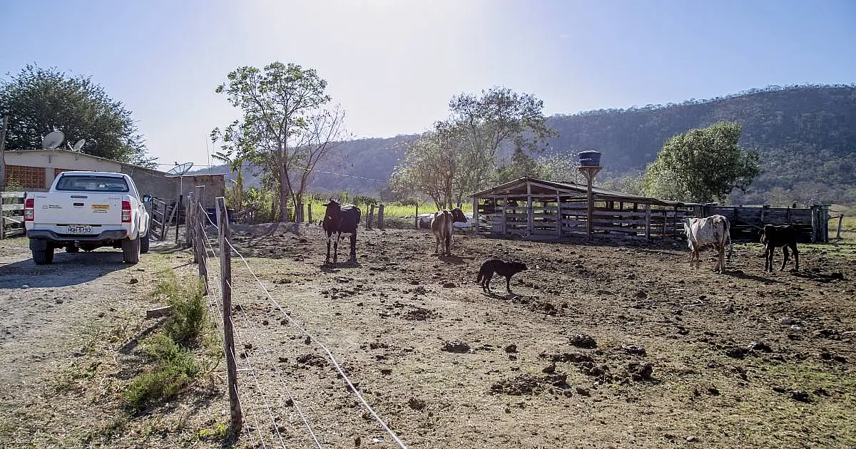 Município negocia com governo reivindicações da agropecuária do Pantanal