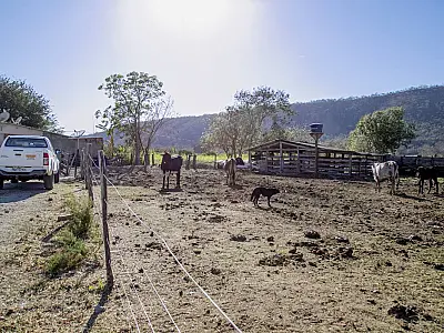 Município negocia com governo reivindicações da agropecuária do Pantanal