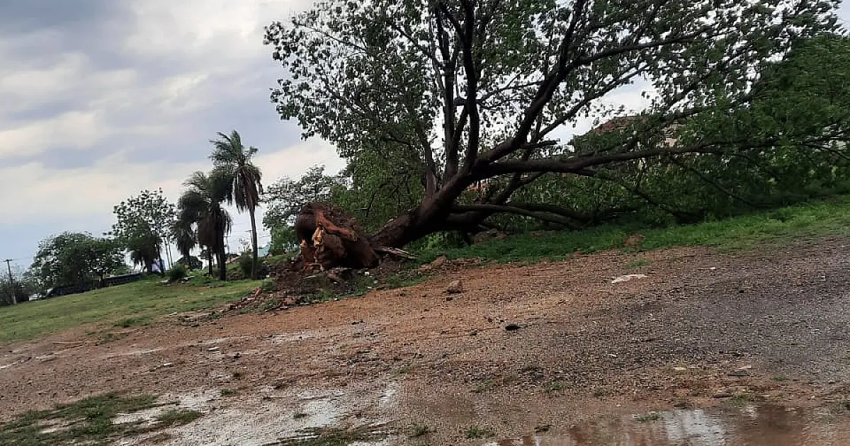 Equipes da prefeitura atendem emergências provocadas por temporal