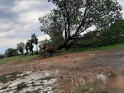 Equipes da prefeitura atendem emergências provocadas por temporal