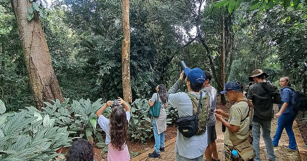 Rota Pantanal Bonito promove a observação de aves no feriado