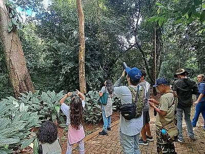 Rota Pantanal Bonito promove a observação de aves no feriado