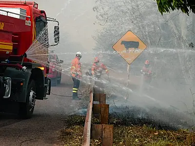 Chuva de 20 mm chega a várias regiões do Pantanal e ajuda a controlar incêndios