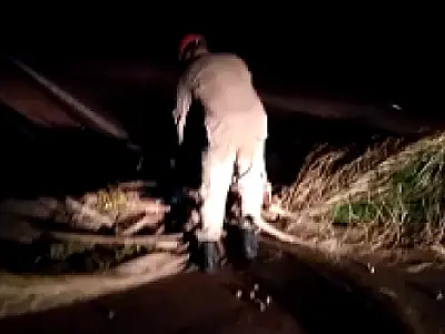 Queda de mais de 10 árvores bloquearam a rodovia BR 262