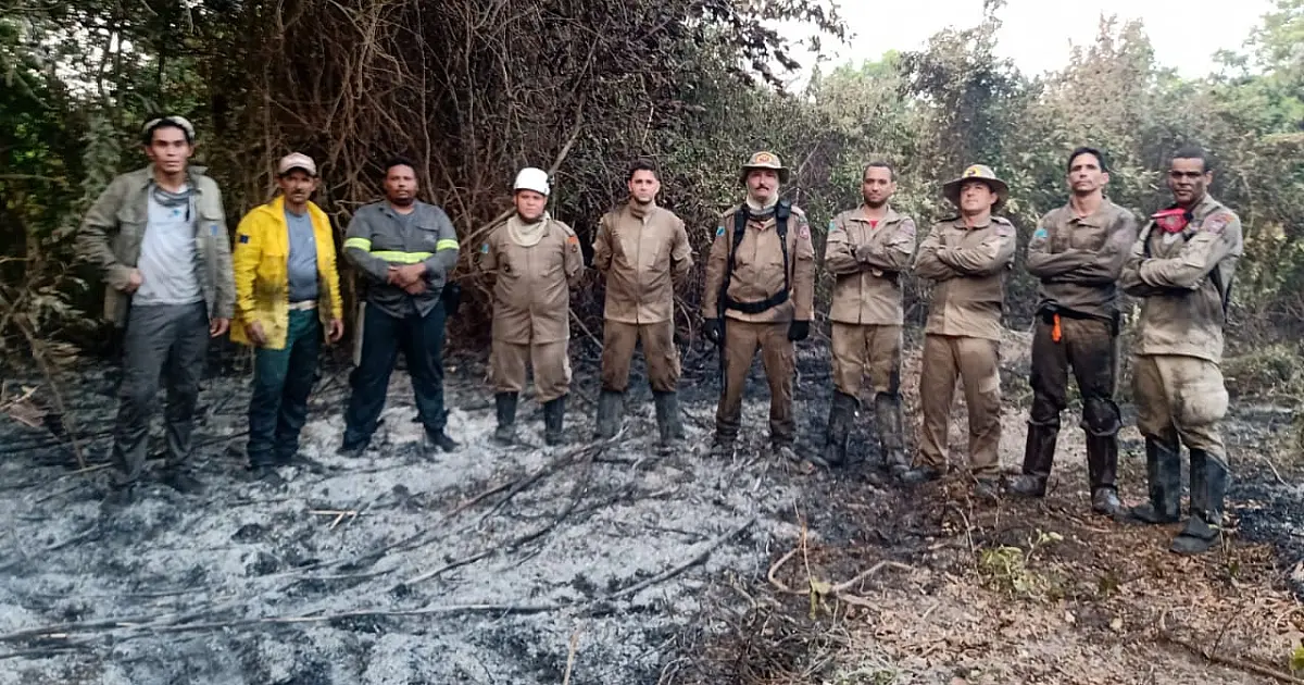 Heróis do Pantanal contra o fogo: o trabalho das brigadas voluntárias