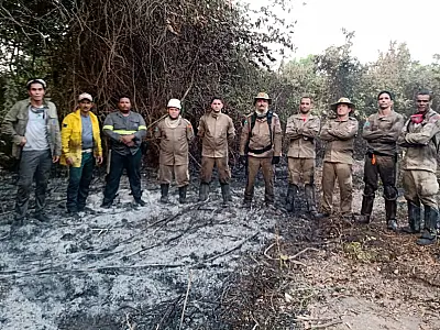 Heróis do Pantanal contra o fogo: o trabalho das brigadas voluntárias