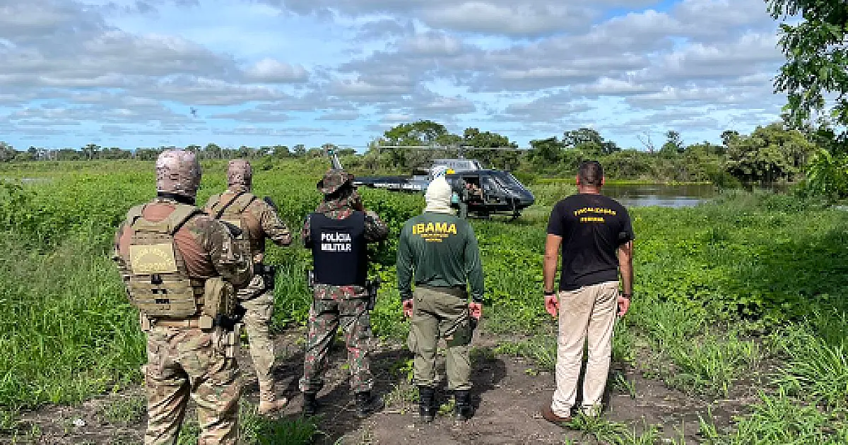 Operação identifica crime ambiental em posse irregular no Paraguai-Mirim