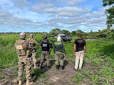 Operação identifica crime ambiental em posse irregular no Paraguai-Mirim