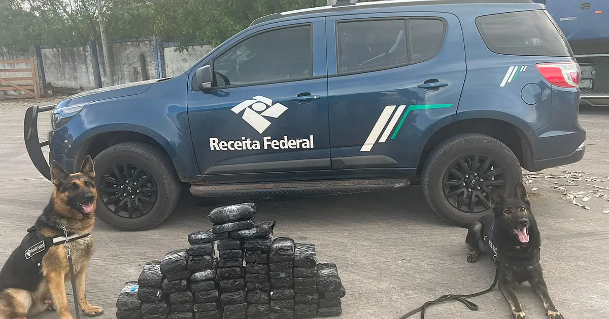 Flagrante de cocaína e supermaconha gera prejuízo de R$ 9 milhões ao tráfico internacional