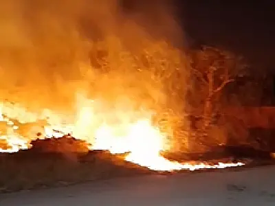 Vereador cobra fiscalização para combater queimadas na área urbana