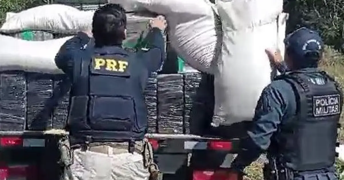 PRF e PM apreendem 3,6 toneladas de maconha em fiscalização na BR 267