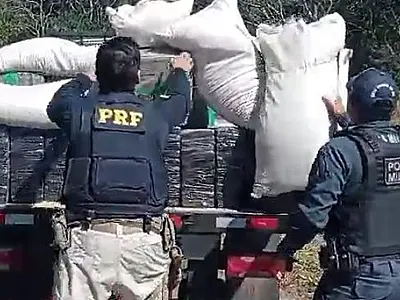 PRF e PM apreendem 3,6 toneladas de maconha em fiscalização na BR 267