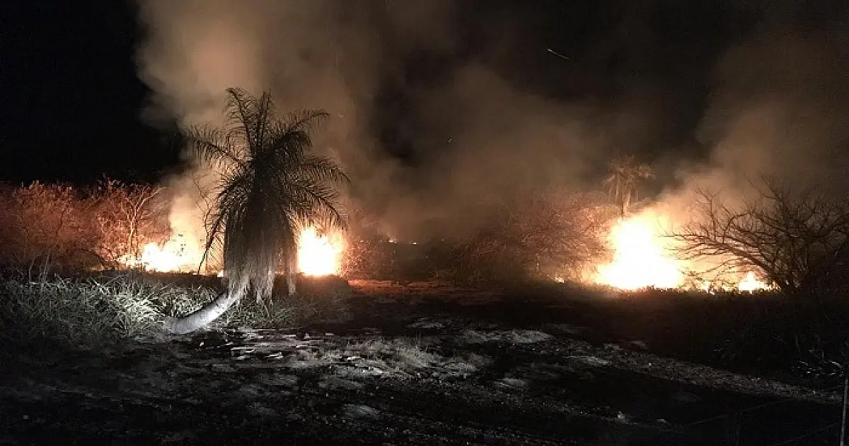 Bira pede limpeza na BR-262 para prevenir incêndios