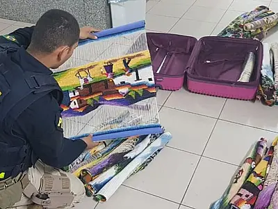 Peruana é presa ao transportar cocaína dentro de peças de artesanato em ônibus