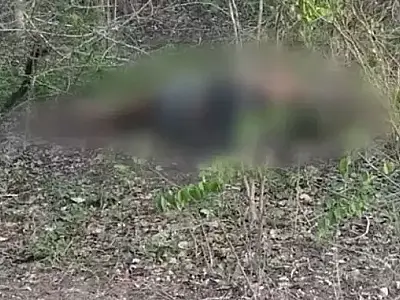 Corpo é encontrado com sinais de tiro e mãos amarradas em matagal de Corumbá