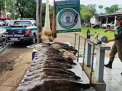 PMA encerra operação Semana Santa com R$ 77 mil em multas aplicadas
