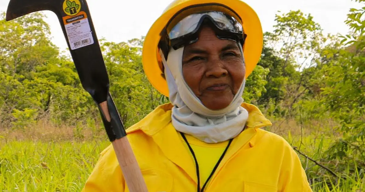 A luta heroica das Brigadas Voluntárias do Pantanal evitaram vários incêndios em 2023