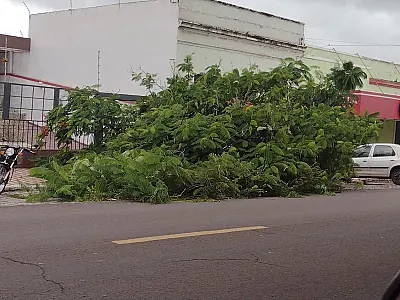 Chuva do fim de semana derrubou árvores e causou obstruções em Corumbá