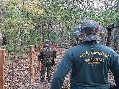 PMA autuou 1.264 pessoas e aplicou R$ R$ 38,8 milhões em multas por infrações ambientais em 2021