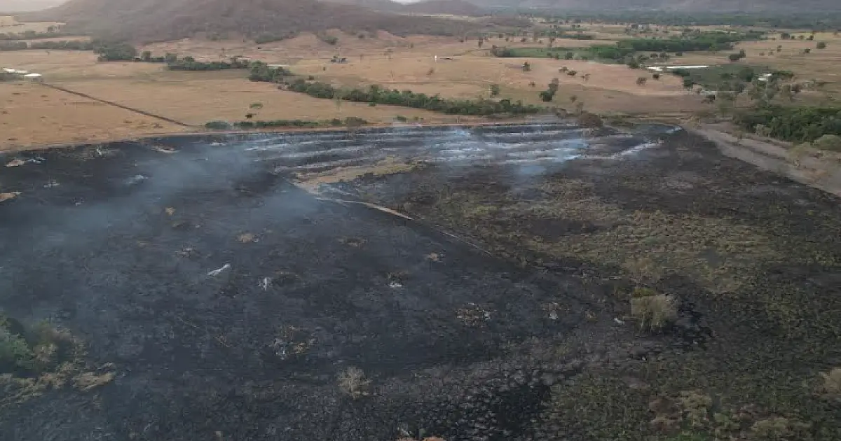 Empresa é multada em R$ 86 mil por incêndio entre o Cerrado e o Pantanal