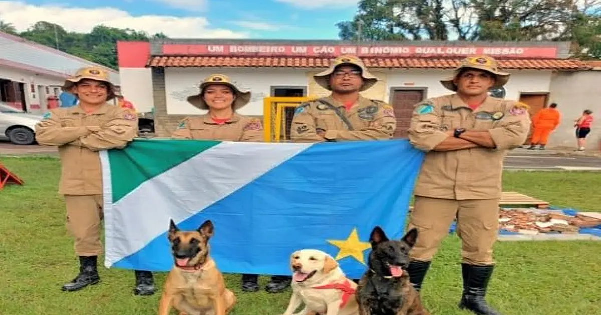 Cães de busca do Corpo de Bombeiros acumulam mais de 20 certificações nacionais e internacionais