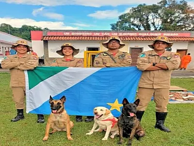 Cães de busca do Corpo de Bombeiros acumulam mais de 20 certificações nacionais e internacionais