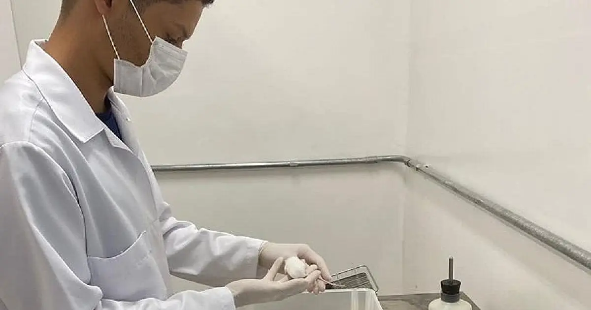 Com foco no avanço em pesquisas científicas, UFGD inaugura novo biotério