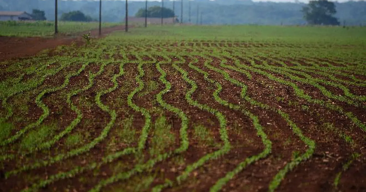 Sem fertilizantes, produtores já buscam plano B para a safra 22/23