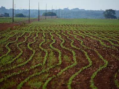 Sem fertilizantes, produtores já buscam plano B para a safra 22/23