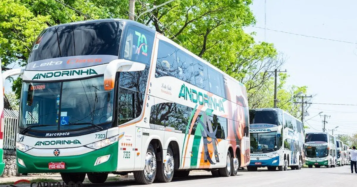 Andorinha fará teste para motorista rodoviário na próxima quinta-feira, 27