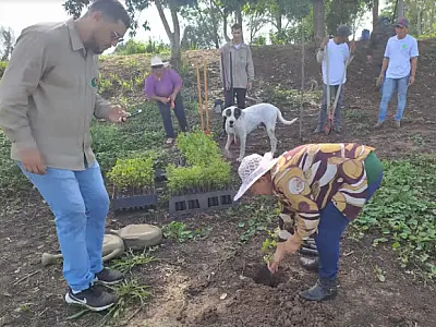 Ação conjunta planta 500 mudas nativas em área queimada no Pantanal