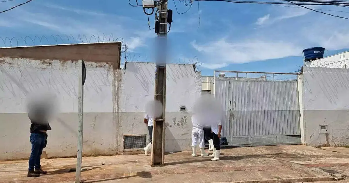 Operação apreendeu 5 toneladas de carne podre que era fornecida para escolas municipais e estaduais