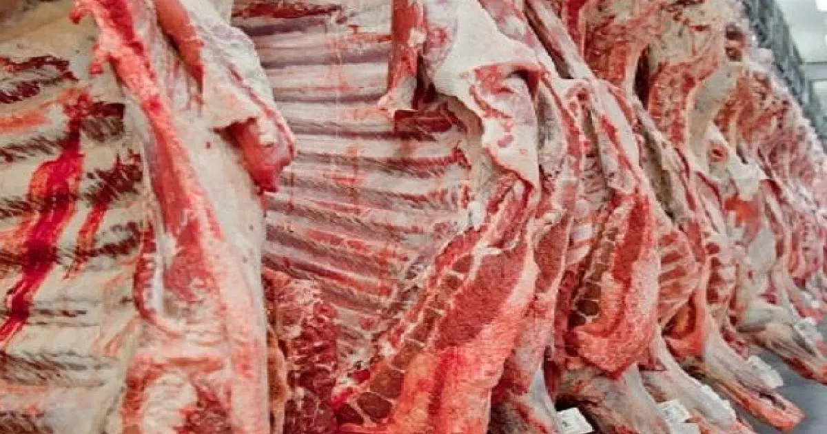 Com a China comprando de mais cinco frigoríficos, preço interno pode melhorar em MS