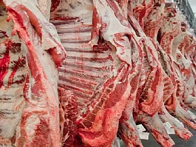 Com a China comprando de mais cinco frigoríficos, preço interno pode melhorar em MS