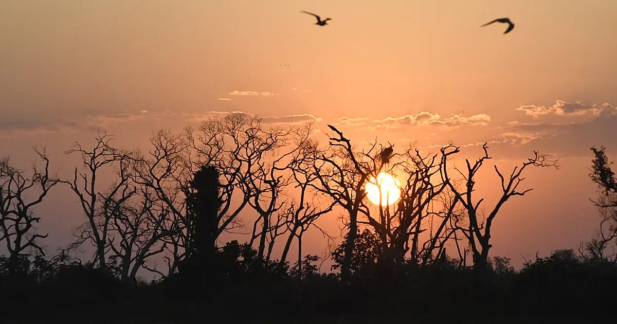 El Niño provoca situação climática extrema em MS, com alerta para incêndios no Pantanal