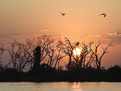 El Niño provoca situação climática extrema em MS, com alerta para incêndios no Pantanal