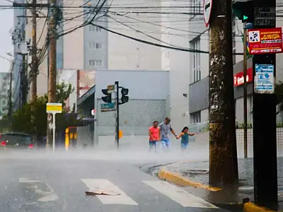 Mato Grosso do Sul registra 319 mil raios em poucas horas de tempestade