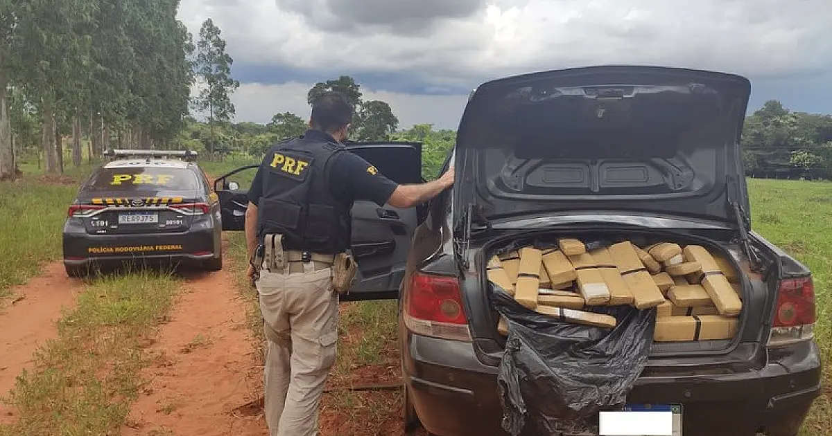 PRF apreende 616,5 Kg de maconha e 2,3 Kg de skunk em Nova Alvorada do Sul