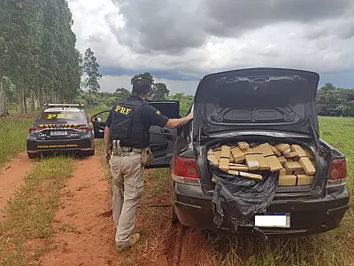 PRF apreende 616,5 Kg de maconha e 2,3 Kg de skunk em Nova Alvorada do Sul