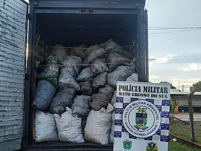 PMA apreende caminhão baú com 21 m³ de carvão transportados ilegalmente