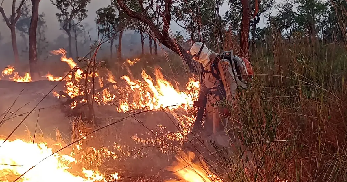 Novos focos de incêndio surgem em áreas de difícil acesso no Pantanal