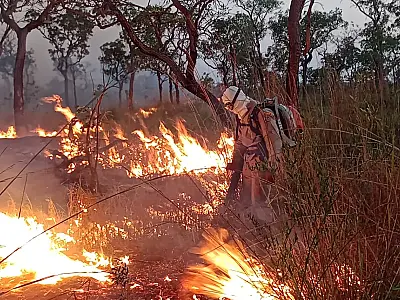 Novos focos de incêndio surgem em áreas de difícil acesso no Pantanal