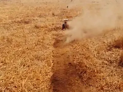 Bombeiros abrem aceiro na vegetação seca para deter incêndios do Pantanal